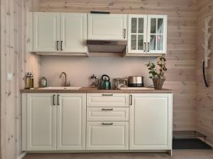 a kitchen with white cabinets and a sink at Tiny House Am Guckenberg in Diez in Diez