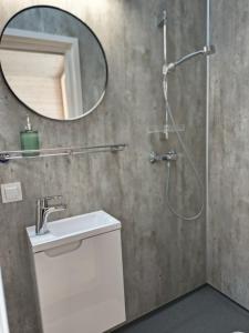 a bathroom with a shower with a sink and a mirror at Tiny House Am Guckenberg in Diez in Diez +8 photos