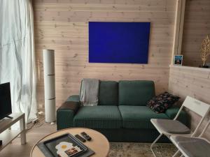 a living room with a green couch and a tv at Tiny House Am Guckenberg in Diez in Diez