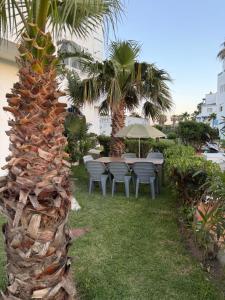 a palm tree next to a table and chairs at Soumaya plage appartement in Fnidek