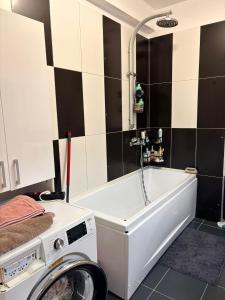 a washing machine in a bathroom with a washer at Apatement de luxe in Roşu