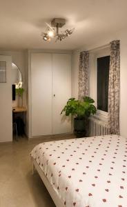 a bedroom with a bed and a plant in it at Studio yvonand in Yvonand