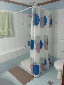 a bathroom with a shower curtain and a toilet at Summer House 96 in Salamina