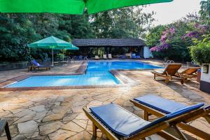 a swimming pool with chairs and an umbrella at Nobile Hotel Papillon in Bella Vista
