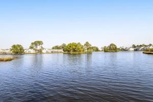 Gallery image of Mallard Lakes - 37986 Eagle Ln #477 in Selbyville