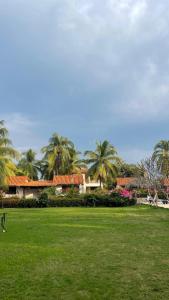 a person flying a kite in a park with palm trees at BeachCasaDonPepe in Barra de Potosi