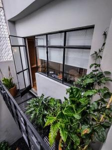 a balcony with a bunch of plants at Casa Alfredo in Mexico City