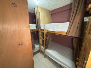 a room with two bunk beds in it at Hostal el Alebrije in Valle de Bravo +50 photos