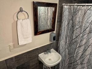 a bathroom with a sink and a shower curtain at Hostal el Alebrije in Valle de Bravo