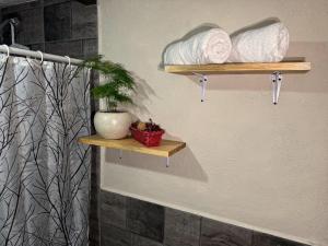 a bathroom with two wooden shelves with towels and a plant at Hostal el Alebrije in Valle de Bravo