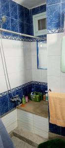 a bathroom with a shower with blue and white tiles at Dar Cherif in Kasbah