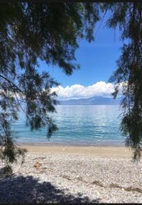 a beach with a view of the water at Aelia Luxury Suites Melissi in Xylokastro