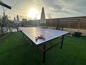 a ping pong table with a hat on top of it at טריו בכרמל in Dāliyat el Karmil