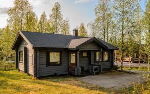 a tiny house in a yard with a driveway at Rukan Talvihovi in Ruka