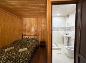 a bedroom with a bed and a bathroom with a toilet at SAOTI Guest house in Shatili