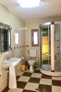 een badkamer met een wastafel, een toilet en een douche bij Cabana Muntele Paltinei in Someşu Rece