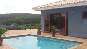 a swimming pool in front of a house with plants at Great Hill View Apartment in Grote Berg