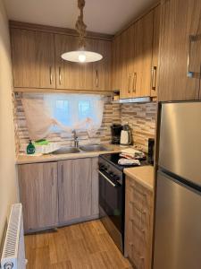 a kitchen with wooden cabinets and a stainless steel refrigerator at Villa Elena ΝΕΑΠΟΛΗ ΒΟΙΩΝ in Áyioi Apóstoloi