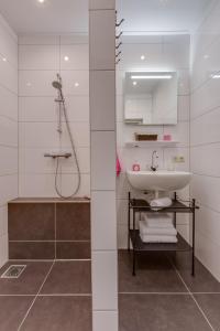 een badkamer met een wastafel en een douche bij B&B vakantieappartementen Dalerheugte in Dalerveen
