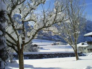 Ferienhaus Hirterhütte v zime