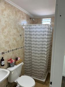 a bathroom with a toilet and a shower curtain at Monoambiente Lavalle Lujan in Luján