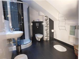 a bathroom with a sink and a toilet and a shower at Agroturystyka pod Czarną Sosną in Biały Ług