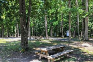 two picnic tables in a park with trees at Tranquil Woods in Ocean Pines