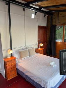 a bedroom with a bed with two lamps and a tv at El Amado in General Alvear
