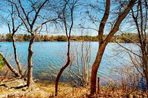 a view of a body of water with trees at Calm Waters in Bourne