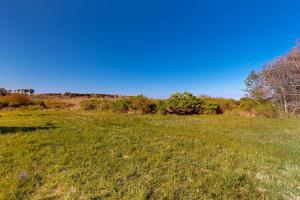 a field of green grass with trees in the background at Soundmeadow House in Oak Bluffs