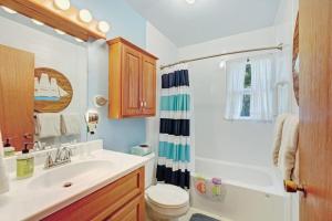 a bathroom with a sink and a toilet and a shower at Walloon Lake Cottage in Boyne City