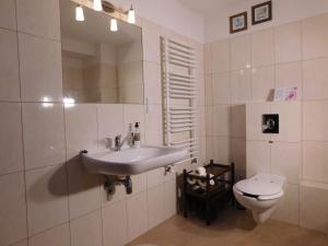a bathroom with a sink and a toilet at Agroturystyka pod Czarną Sosną in Biały Ług