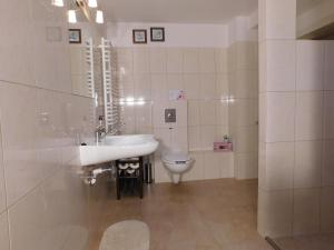 a bathroom with a sink and a toilet at Agroturystyka pod Czarną Sosną in Biały Ług