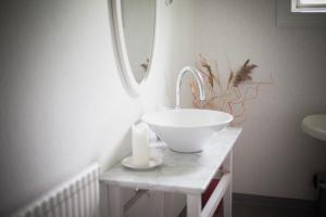 AxvallにあるFredriksons Vilt, Vin & Pensionatの白い洗面台と鏡のあるバスルーム