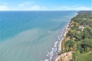 an aerial view of a beach with trees and water at Appy Place in South Haven