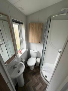 a bathroom with a toilet and a sink and a shower at Luxury 3 bed lodge, Skegness - East Coast Holidays in Winthorpe