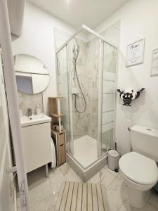 a bathroom with a shower and a toilet and a sink at Le Charme Rosé in Villejuif