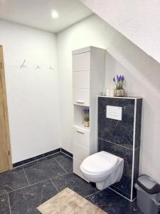 a bathroom with a white toilet in a room at MIO plus Apartments Sulzbach in Sulzbach +7 photos