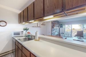 a kitchen with a sink and a counter top at Gentle Winds 9 10 in Glen Arbor