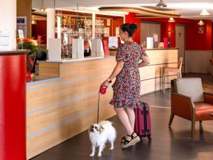 a woman walking a dog with a suitcase at Hotel ibis Autun in Autun