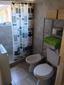a bathroom with a toilet and a shower curtain at Cabaña con costa de arroyo in San Martín de los Andes