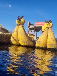 a boat in the water with two lions wearing sunglasses at Suma Kusi en el Titicaca in Puno