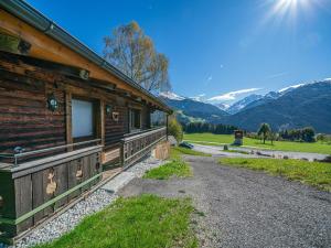 a log cabin with mountains in the background at Die Kramerei in Hollersbach im Pinzgau