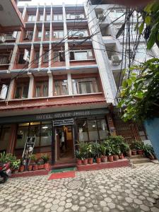 a building with plants in pots in front of it at Hotel Silver Jubilee in Kathmandu