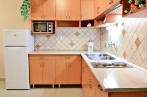 Holiday Home Rose 4200 Hajdúszoboszló, Rózsa utca 10-12. kép - 2