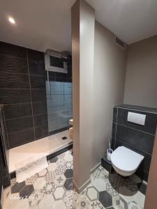 a bathroom with a shower with a toilet and a sink at JOLYKa résidence avec caméra et digicode possibilité location voiture Mercedes, garage ,climatisation ,cheminée, Netflix, petit déjeuner ,repas du soir fondue, raclette, barbecue sur demande in Albertville