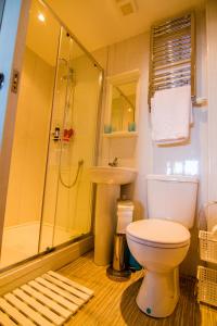 une salle de bain avec toilettes, douche et lavabo dans l'établissement Farneholm Annex Cottage, à Beadnell