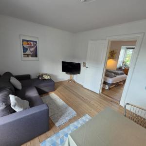 a living room with a couch and a tv at Bjerregade Horsens Centrum in Horsens +4 photos