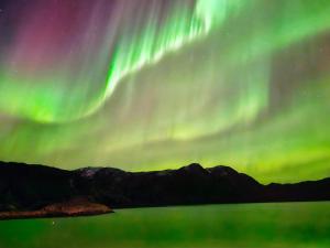 an image of the northern lights in the sky at 4 person holiday home in Rebbenes in Rebbenes