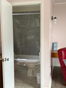 a bathroom with a toilet and a bath tub at Le Délice Motel Restaurant in Mont-saint-pierre +30 photos